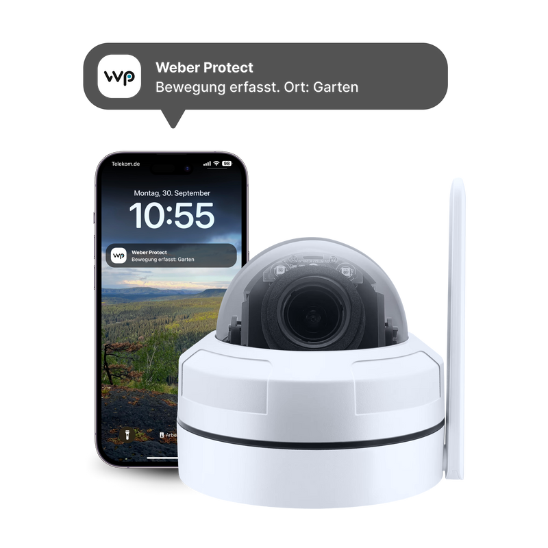 NVR Starterset (Iris)